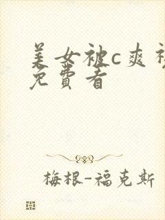 美女被c爽视频免费看