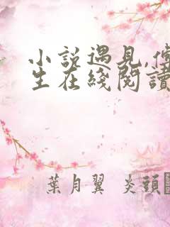 小说遇见,傅先生在线阅读