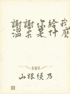 谢谢你给我爱的温柔是什么歌名