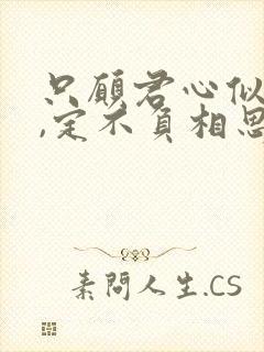 只愿君心似我心,定不负相思意翻译