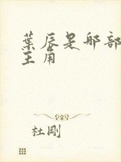 叶辰是哪部小说主角