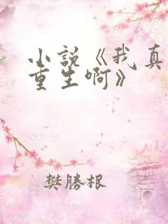 小说《我真没想重生啊》