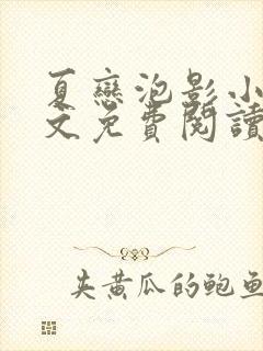 夏恋泡影小说全文免费阅读最新章节