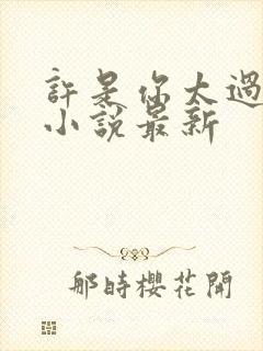 许是你太过耀眼小说最新