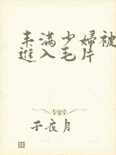 丰满少妇被猛烈进入毛片