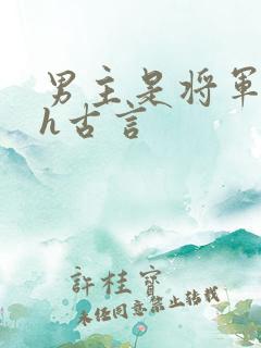 男主是将军的高h古言
