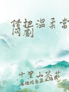 错把温柔当情深网剧