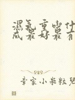 湿气重吃什么中成最好最有效