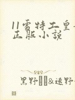 11处特工皇妃正版小说