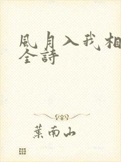 风月入我相思局全诗