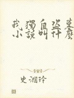 我独自盗墓原著小说叫什么