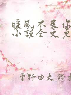 暖风不及你情深小说全文免费阅读正版