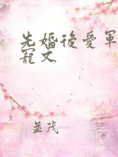 先婚后爱军婚甜宠文