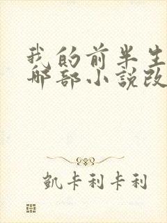 我的前半生根据哪部小说改编