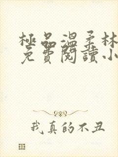 极品温柔林婉秋免费阅读小说