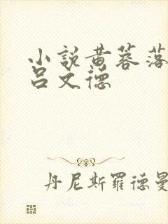 小说黄蓉落难记吕文德