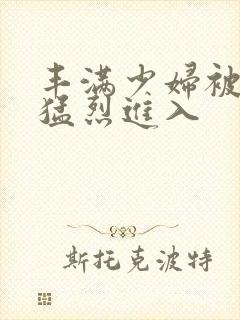 丰满少妇被粗大猛烈进入