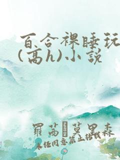 百合裸睡玩奶头(高h)小说