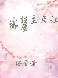 小说主角江稚沈卿尘