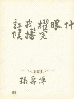 许我耀眼什么时候播完