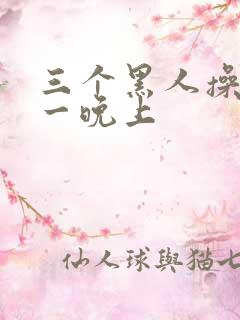 三个黑人操了我一晚上