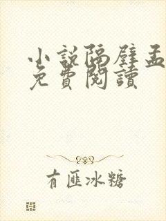 小说隔壁孟先生免费阅读