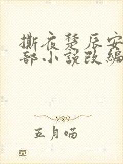 撕夜楚辰安是哪部小说改编的