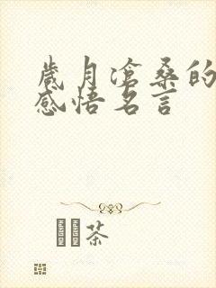 岁月沧桑的人生感悟名言