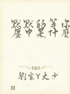 默默的等你在红尘中是什么歌