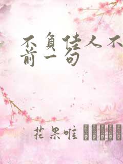 不负佳人不负卿前一句