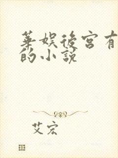 华娱后宫有孙莉的小说