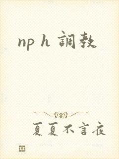 np h 调教