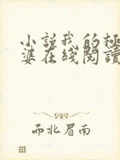 小说我的极品老婆在线阅读全文