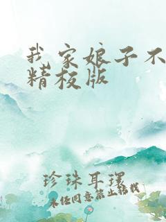 我家娘子不对劲精校版