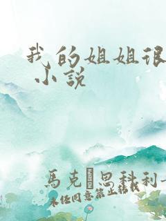 我的姐姐很弟控 小说