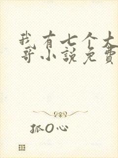 我有七个大佬哥哥小说免费阅读txt