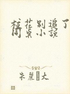 校花别追了高冷同桌小说