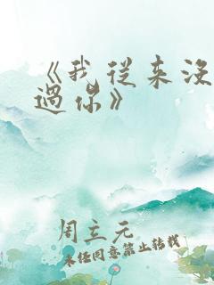 《我从来没有爱过你》