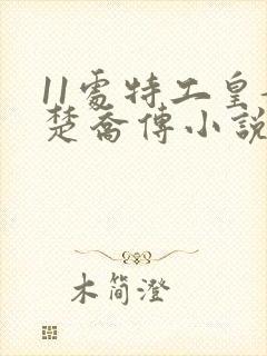 11处特工皇妃楚乔传小说免费