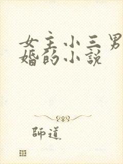 女主小三男主已婚的小说