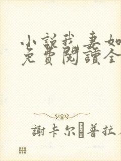 小说我妻如奴琳免费阅读全文