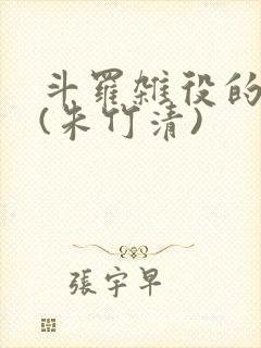 斗罗杂役的崛起(朱竹清)