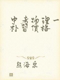 中考物理一对一补习价格