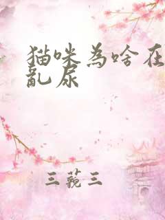 猫咪为啥在屋里乱尿