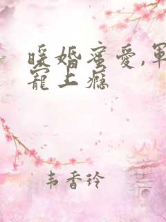 暖婚蜜爱,军官宠上瘾