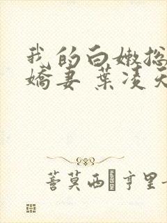 我的白嫩总裁小娇妻 叶凌天