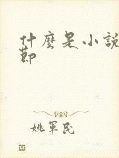 什么是小说的情节