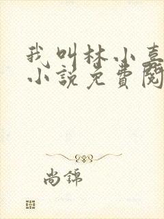 我叫林小喜全文小说免费阅读