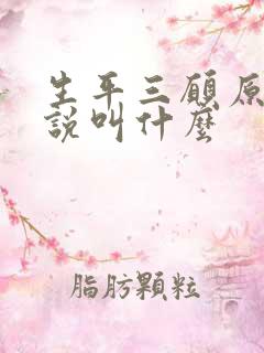 生平三愿原著小说叫什么