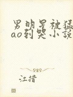 男明星被猛男cao到哭小说